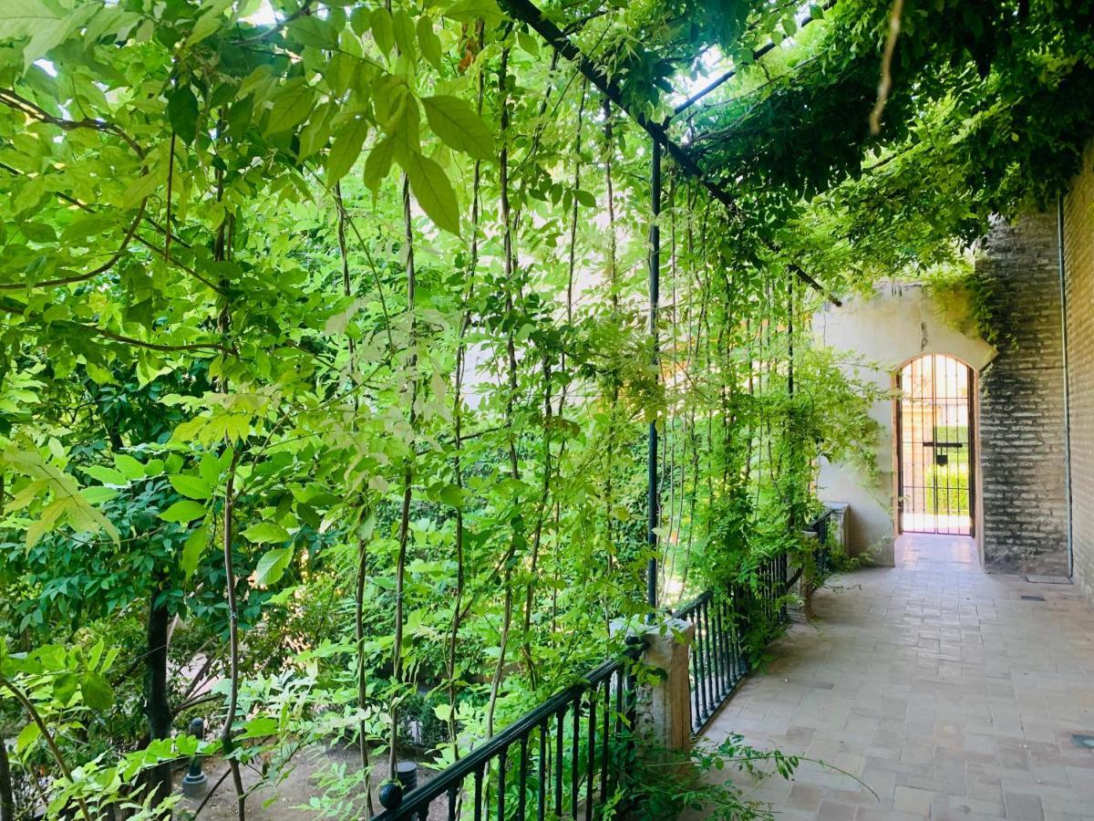 Apartamento Puerta Carmona Seville Luaran gambar
